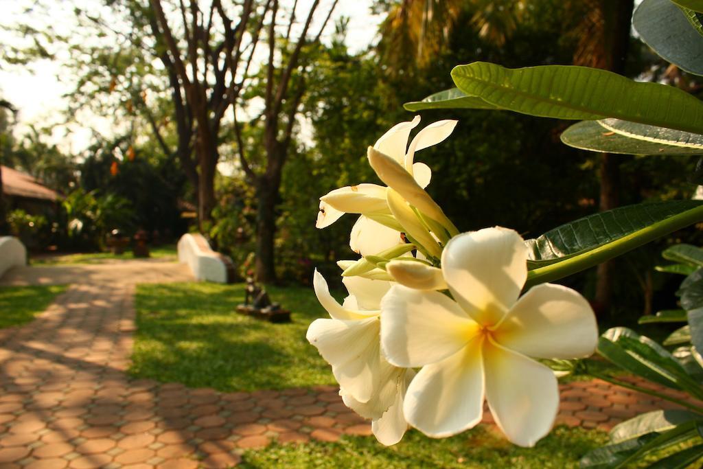 Hotel Secret Garden Chiangmai San Kamphaeng Exterior foto